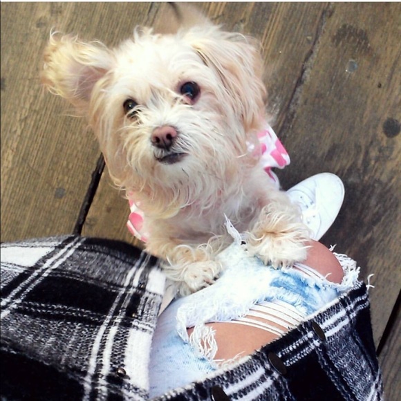 Meet your Posher, Sandra - Picture 3 of 4